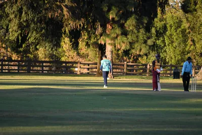 DSC_2389 (Large).JPG